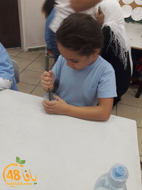 cimikal day (31).jpg